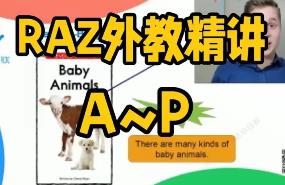 ������(gu��)�Y����̾��xRAZ(A-P)160��(ji��)