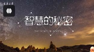 ���ǻ۵����ܡ�-�ؑc��W(xu��)