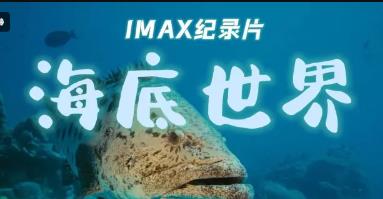 ����ĺ�������̽��