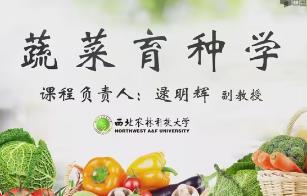 �߲����N�W(xu��)�n��_�����r(n��ng)�ֿƼ���W(xu��)