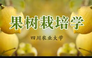 ���Ĵ��r(n��ng)�I(y��)��W(xu��)�����������W(xu��)��Ʒ�n