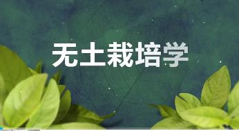 �o�������W(xu��)��Ʒ�n