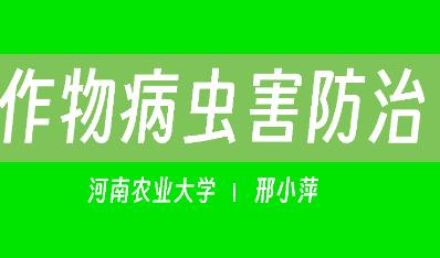 �������r(n��ng)�I(y��)��W(xu��)�����ﲡ�x�����ξ�Ʒ�n