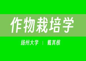 ���P�ݴ�W(xu��)�����������W(xu��)�n��