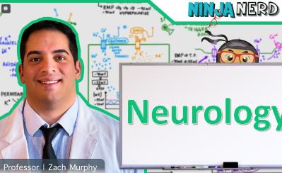 Ninja Nerd | Neurology��(j��ng)�W(xu��)�n��