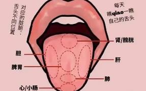 ���t(y��)���\��̽�n��