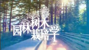 �@�֘�ľ�W(xu��)��Ʒ�n - �A���r(n��ng)�I(y��)��W(xu��)