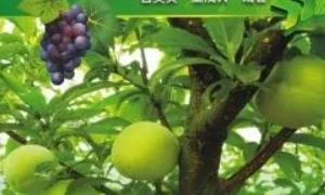 �������a(ch��n)���g(sh��)���g(sh��)ָ��(d��o)