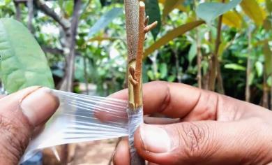 ����޽ӵķ����̳�