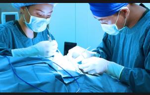 ��ƌW(xu��)--�ǿƲ����n��