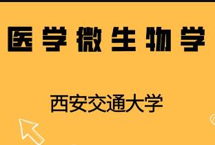 �t(y��)�W(xu��)΢����W(xu��)�n�̡���������ͨ��W(xu��)