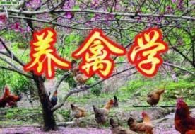 �Ĵ��r(n��ng)�I(y��)��W(xu��) �C �B(y��ng)�݌W(xu��)��Ʒ�n