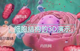 ��������(d��ng)�ĸ�������֪�R(sh��)3d��(d��ng)��(hu��)��ʾ