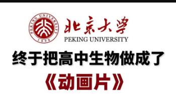 ��������Ӯ��v��