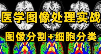 �t(y��)�W(xu��)�D��̎�팍��(zh��n)�n��