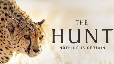 ��(j��ng)��o(j��)�Ƭ�����C��