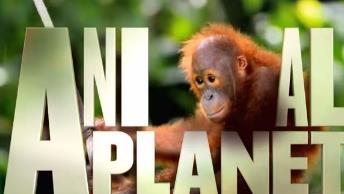 ���o(j��)�Ƭ������˼�h�Ą�(d��ng)��