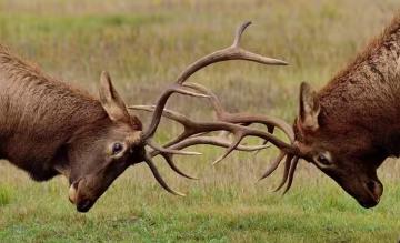 ��(j��ng)���(d��ng)�������Ŀ