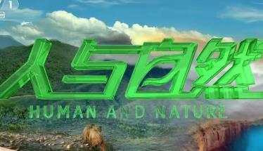 2020�����c��Ȼ���ϼ�