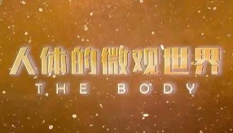 ���w��΢�^����-�o�Ƭ