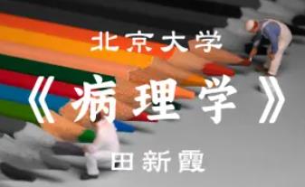 ��������W(xu��)��������W(xu��)����Ʒ�n