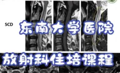 �|�ϴ�W(xu��)�����д��t(y��)Ժ�����ס���n��