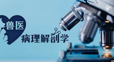 ���Ї��r(n��ng)�I(y��)��W(xu��)���F�t(y��)�������ʌW(xu��) ��Ʒ�n