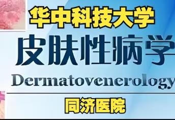 Ƥ�w�Բ��W(xu��)�̌W(xu��)ҕ�l-ͬ����W(xu��)