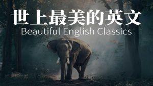 ����������Ӣ��(���x�ղغϼ�), �m�����x�;� ��