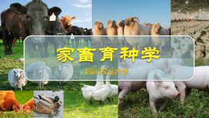 �������N�W(xu��)�n��-�Ĵ��r(n��ng)�I(y��)��W(xu��)