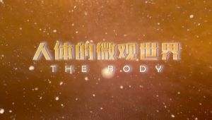 �o�Ƭ�����w��΢�^���硷