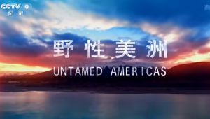 �� �o�Ƭ��Ұ�����ޣ�ȫ4����