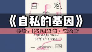 ����˽�Ļ�������(sh��)�����ϵ�Ѕ���(sh��)