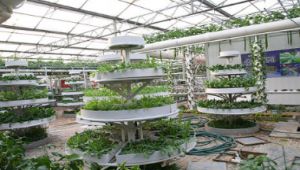 �o(w��)�����༼�g(sh��)�n��