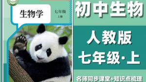 ��2025�����꼉�����n��