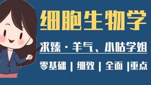 ��(x��)������W(xu��)- ���A(ch��)�A���n��