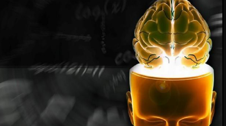 �Ї�(gu��)������W(xu��)����������W(xu��)�n��ҕ�l