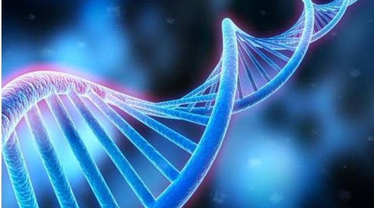 高中生物基礎(chǔ)復(fù)習(xí)輔導(dǎo)視頻 高中生物基礎(chǔ)復(fù)習(xí)輔導(dǎo)視頻