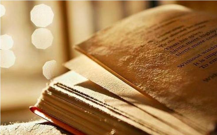 1563801189960770.jpg 1.jpg