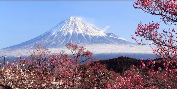 ���Z(y��)����A(ch��)���߼�(j��)(0-N1)�n��