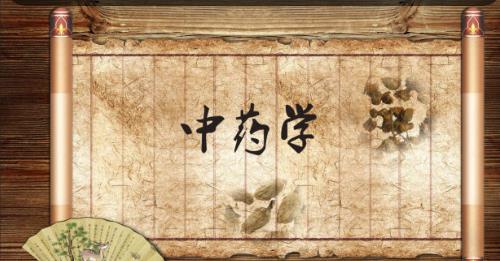 中藥學課程- 成都中醫(yī)藥大學 中藥學課程- 成都中醫(yī)藥大學