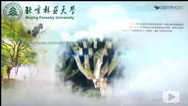 樹木學(xué)教學(xué)視頻 樹木學(xué)教學(xué)視頻