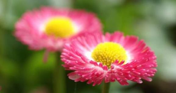 �Ͼ��֘I(y��)��W(xu��)-���܌W(xu��)�n��