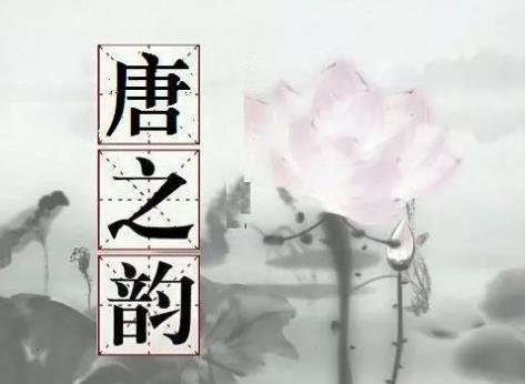 《唐之韻》全集MP3 《唐之韻》全集MP3