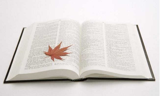 2020����Ӣ�Z�Z�����������L�y���v��