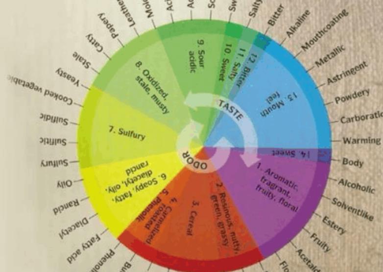 南京大學(xué)-心理學(xué)與生活精品課 南京大學(xué)-心理學(xué)與生活精品課