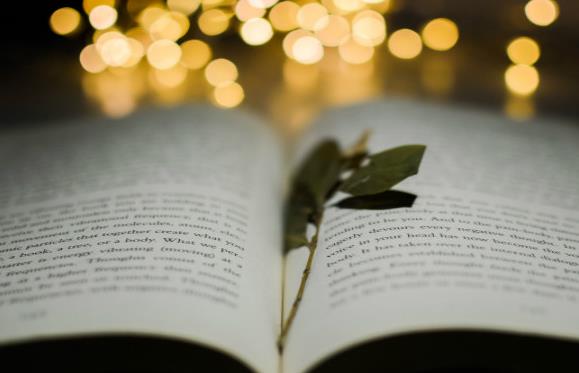 看故事學英語 看故事學英語