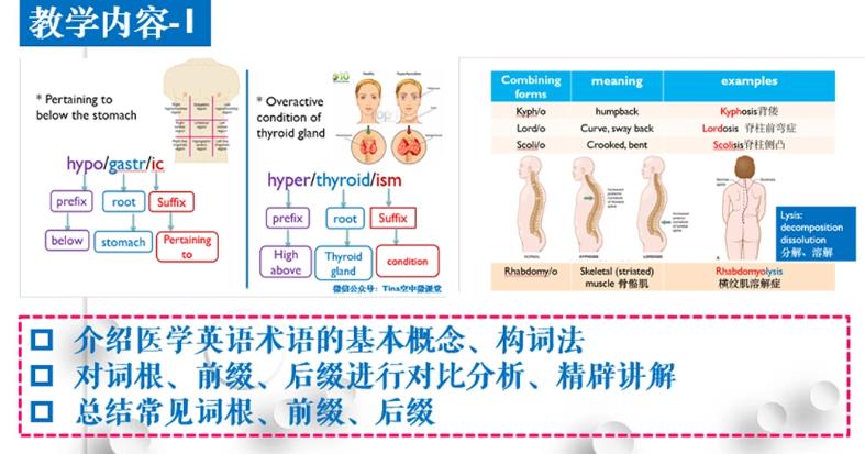醫(yī)學(xué)英語術(shù)語學(xué)課程視頻.jpg 360截圖醫(yī)學(xué)英語術(shù)語學(xué)課程視頻.jpg