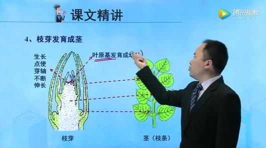 蘇教版初中生物七年級(jí)上冊(cè)課程視頻 蘇教版初中生物七年級(jí)上冊(cè)課程視頻