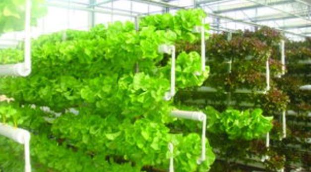 �o�����༼�g(sh��)���T�̳�